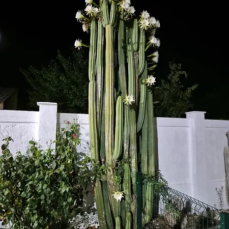 El Jardin De Ninos 2 * El Viso de San Juan